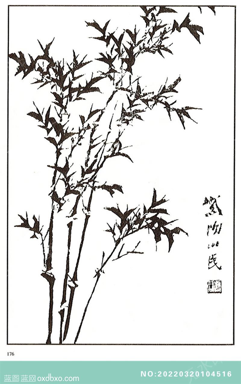 NO-20220320104516.jpg
