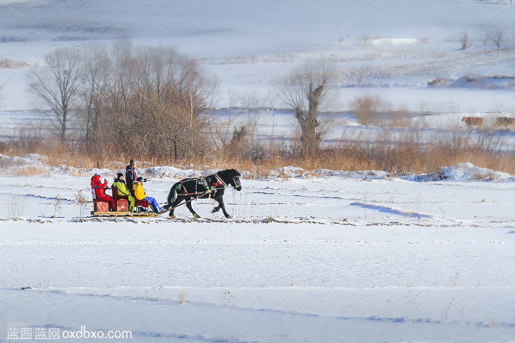 中国雪乡19sheying.jpg