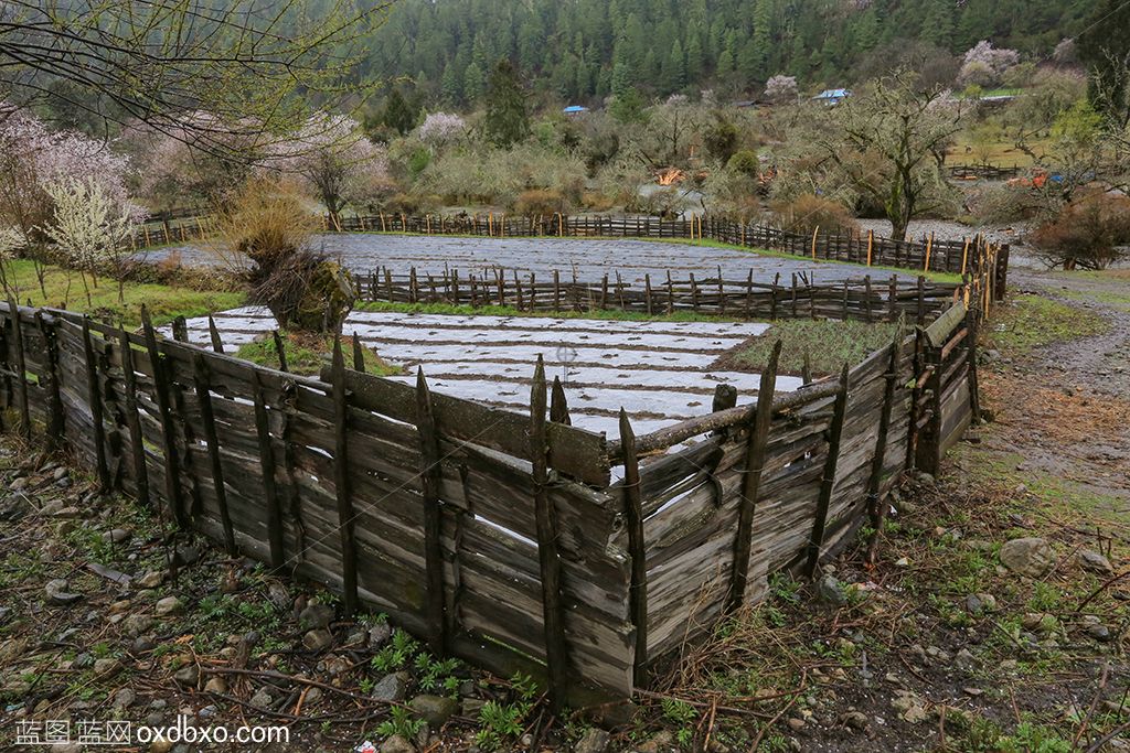 西藏波密巴卡村4-sheying.jpg