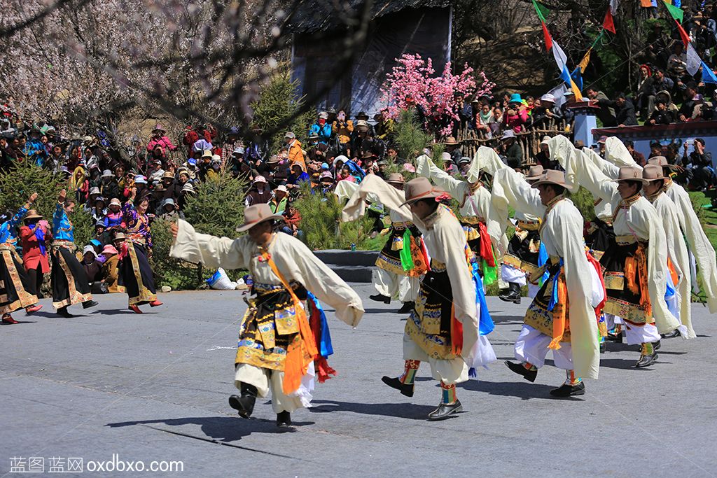 西藏林芝桃花节演出3-sheying.jpg