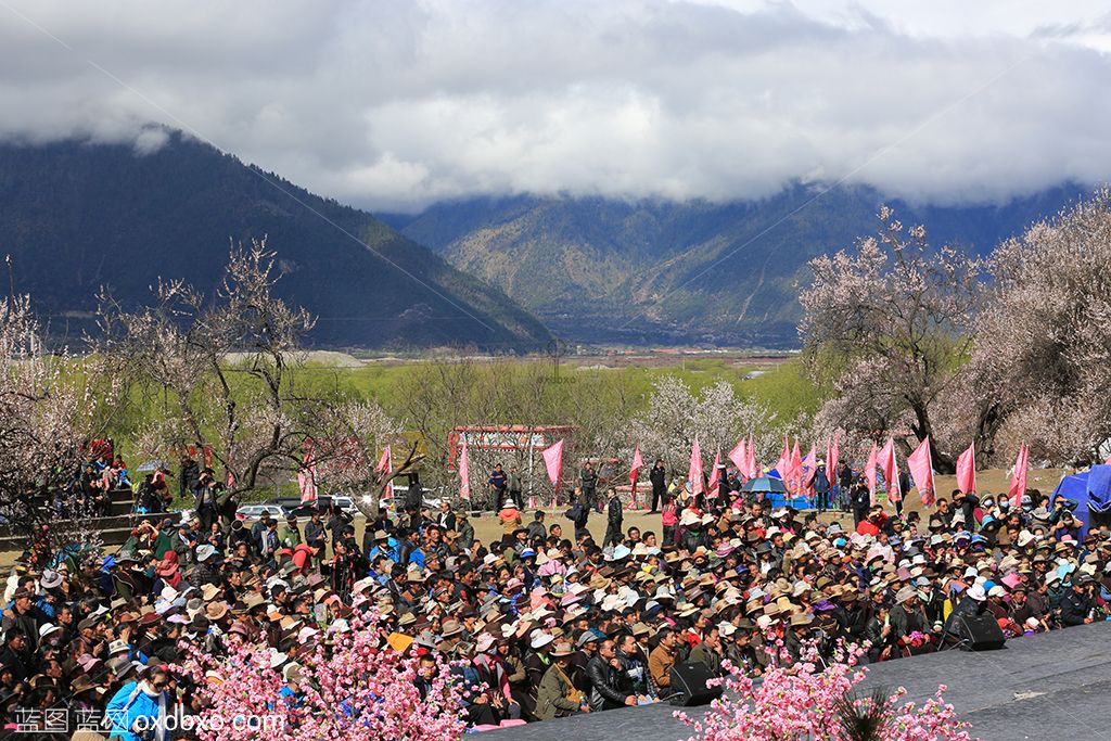 西藏林芝桃花节演出观众1-sheying.jpg