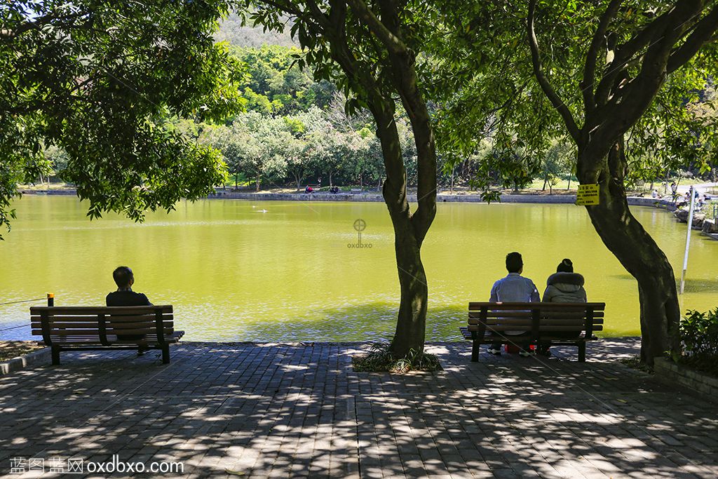 深圳市莲花山公园3-sheying.jpg