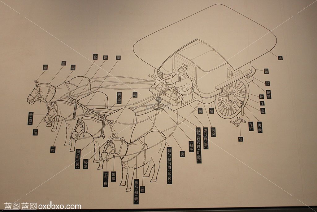秦皇陵秦始皇铜车马解刨图详解图(3).jpg