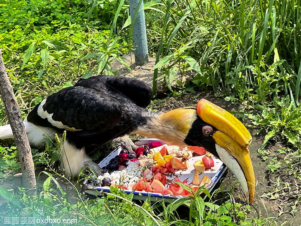 2023_06_16_09_59_IMG_5595 拷贝.jpg