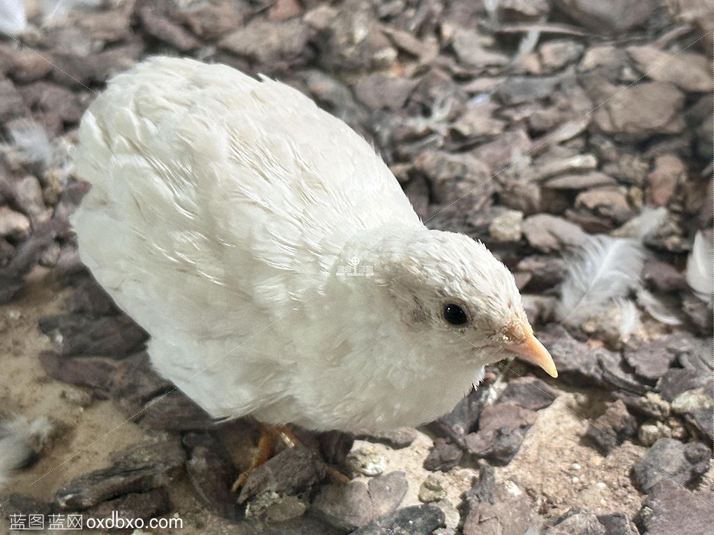 2023_06_16_12_46_IMG_5800 拷贝.jpg