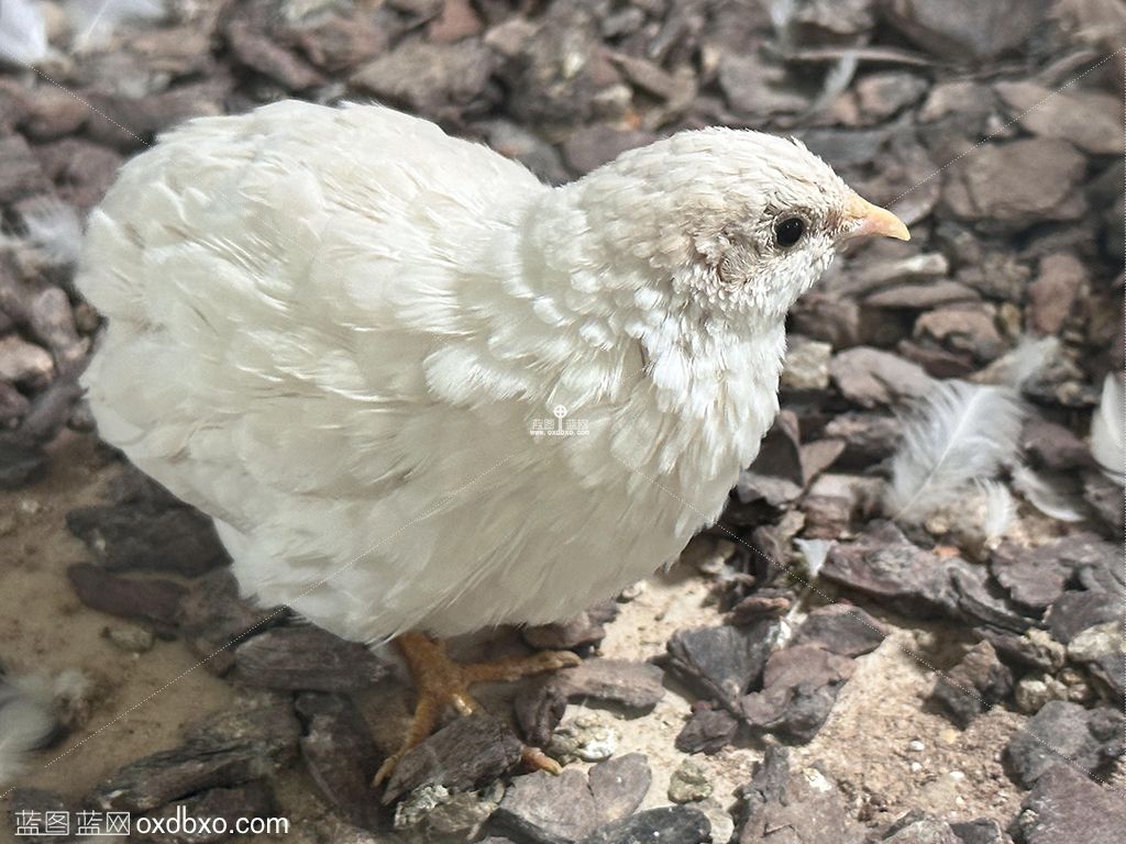 2023_06_16_12_46_IMG_5801 拷贝.jpg