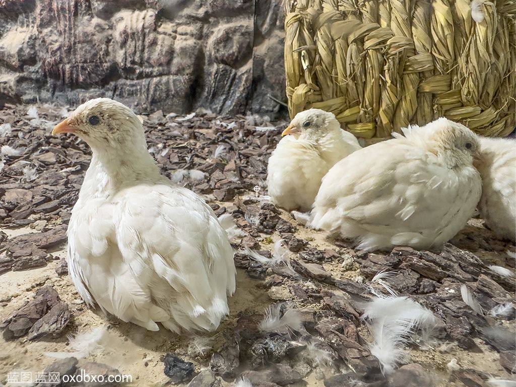 2023_06_16_12_49_IMG_5827 拷贝.jpg