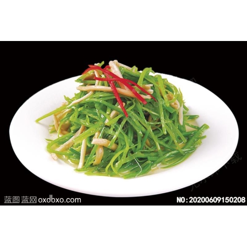 荷兰豆拌茶树菇菜谱湘菜系列美食菜牌素材_作品编号NO:20200609150208