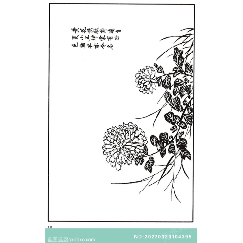 芥子园菊花画法芥子园画菊花中国传统国画素材_作品编号：NO:20220320104395