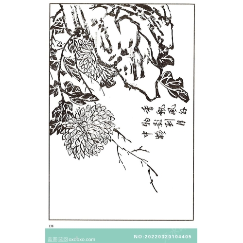 芥子园菊花画法芥子园画菊花中国传统国画素材_作品编号：NO:20220320104405