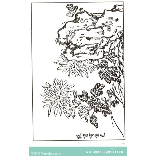 芥子园菊花画法芥子园画菊花白描中国传统国画素材_作品编号：NO:20220320104408