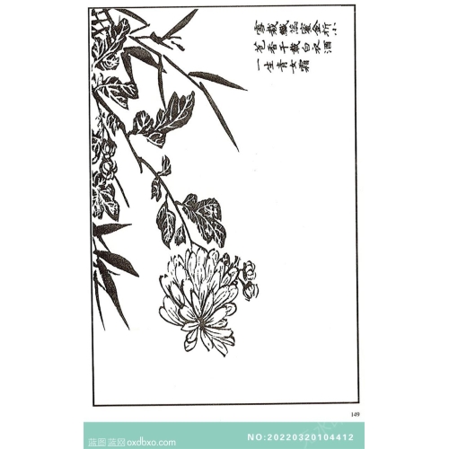 芥子园菊花画法芥子园画菊花白描中国传统国画素材_作品编号：NO:20220320104412