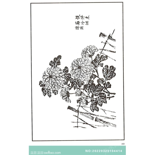 芥子园菊花画法芥子园画菊花白描中国传统国画素材_作品编号：NO:20220320104414