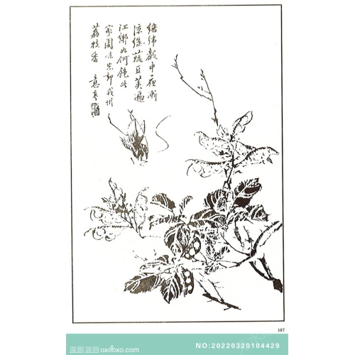 芥子园翎毛花卉画法中国传统国画素材_作品编号：NO:20220320104429