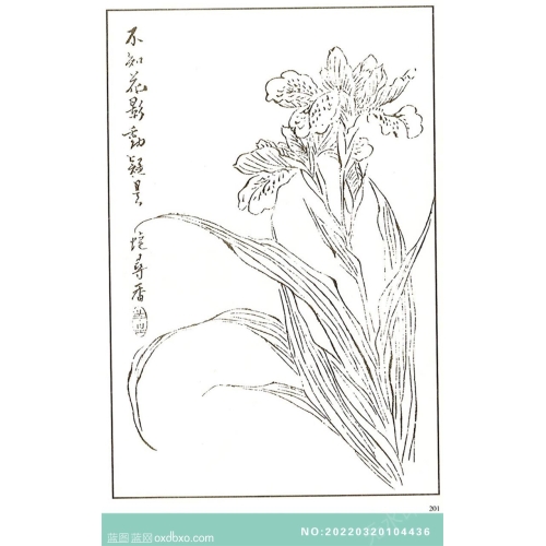 芥子园翎毛花卉画法中国传统国画素材_作品编号：NO:20220320104436