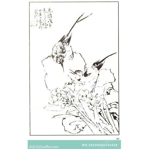 芥子园翎毛花卉画法中国传统国画素材_作品编号：NO:20220320104439