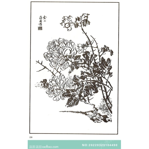 芥子园翎毛花卉山石花鸟画法中国传统国画素材_作品编号：NO:20220320104490