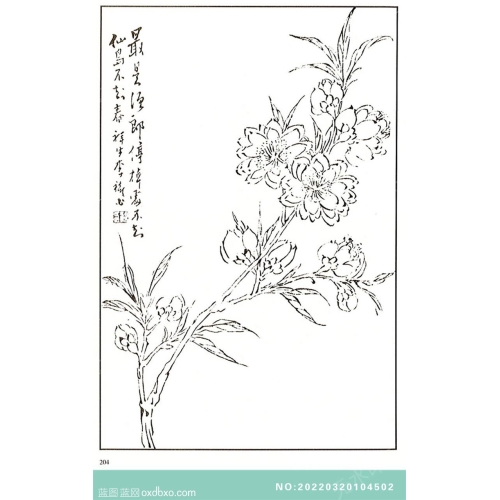 芥子园翎毛花卉山石花鸟画法中国传统国画素材_作品编号：NO:20220320104502