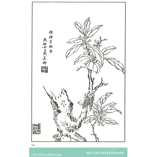 芥子园翎毛花卉山石花鸟画法中国传统国画素材_作品编号：NO:20220320104496