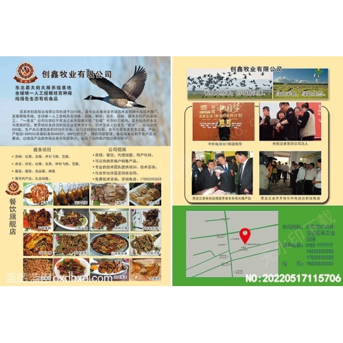 创鑫牧业大雁美食文化宣传彩页大雁养殖基地宣传页企业形象策划彩页设计素材_作品编号NO:20220517115706