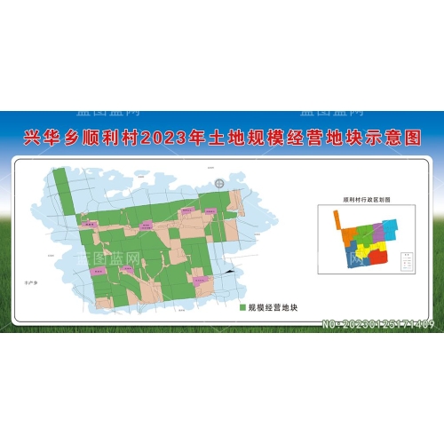 拜泉县兴华乡顺利村2023年土地规模经营地块示意图设计模板素材编号_NO:20230216155801