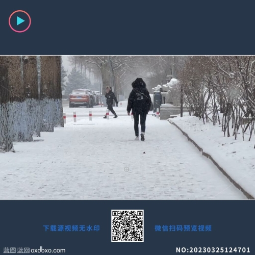 视频雪中漫步的女人雪中行走的女孩视频素材编号_NO:20230325124701