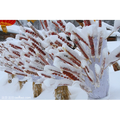 中国雪乡糖葫芦摄影图片素材