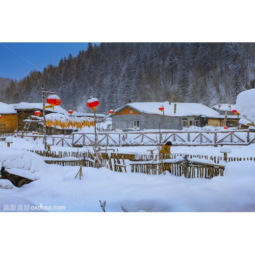 雪乡 北国风光 平房 雪景 红灯笼 白天 商用 瑞雪 商业 摄影 素材 农家院 冬天 白雪