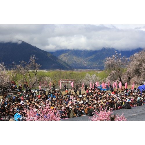 西藏林芝桃花节演出观众