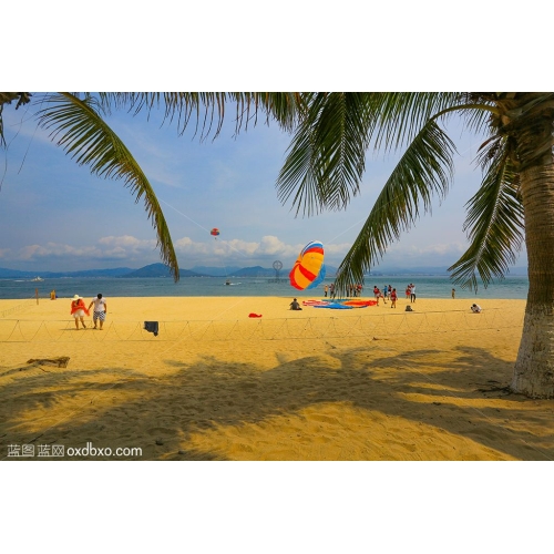 海南岛 三亚 旅游 海滩 椰子树 椰风 暖风 游人情侣 商业摄影 暖风 暖阳 暖意 海边 海风 商用图片