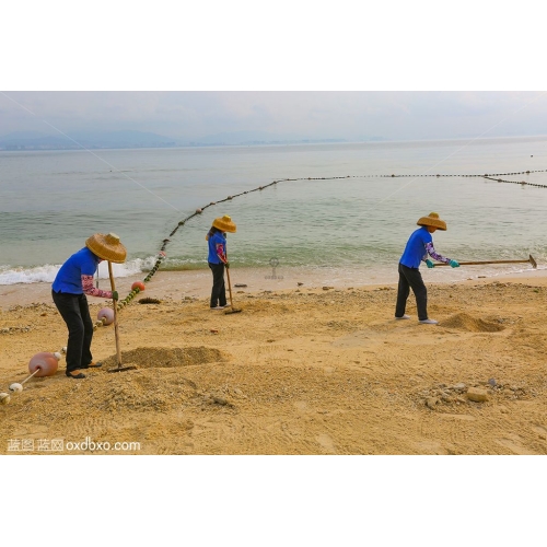 海南三亚海边渔民赶海挖沙子沙滩海滩 海南岛 商业摄影 商用图片素材