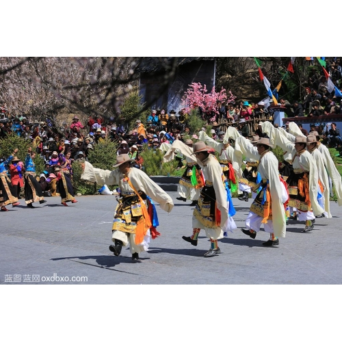 西藏 林芝 桃花节 藏族 舞蹈 演出 藏舞 旅游 商业摄影 商用图片