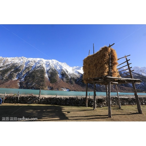 西藏 然乌湖 风光 风景 藏族 雪山 牧草 青稞架 草包 商业摄影 商用图片素材