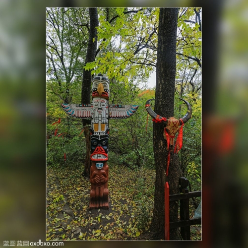 枫香树 图腾 祭拜 朝拜 内蒙古 大青沟 大草原 风情 风光 风景 商业摄影 商用素材