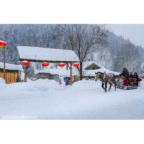 雪乡 游客 雪屋 导游 马拉爬犁 雪橇 木屋 屋檐 白雪覆盖 雪地 红灯笼 摄影 图片