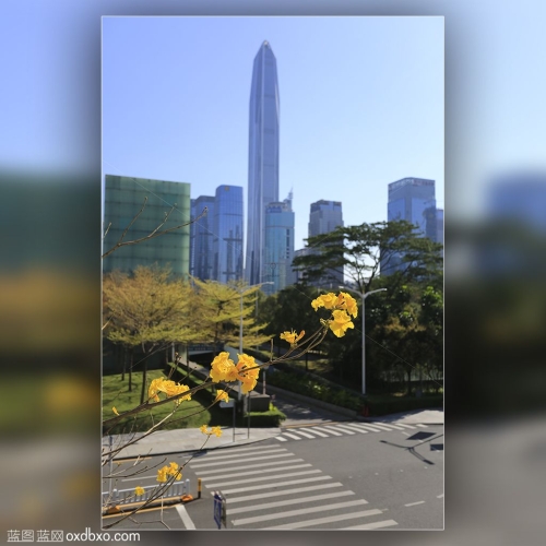 深圳城市建设 街景 城市风貌 风光 风景 商业摄影 商用素材