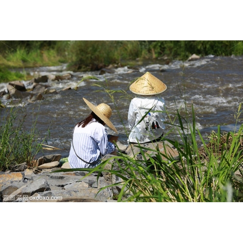 戴草帽的女人背影美女河边游客休闲商业摄影商用图片素材克山县