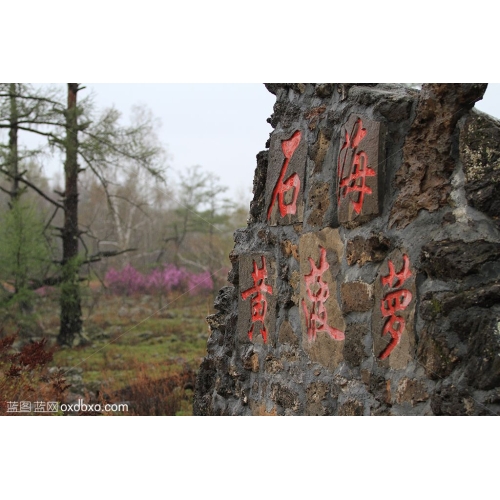 内蒙古 达尔滨湖 石海 黄菠萝 文化石 大草原 风情 风光 风景 商业摄影 商用素材