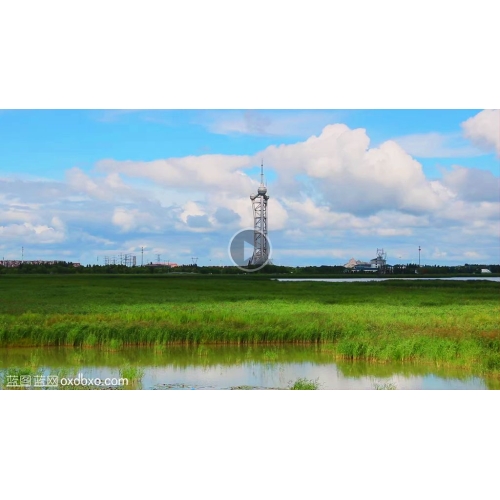 商用视频素材大庆湿地公园大庆国府湿地公园